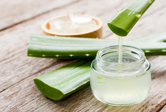 How to safely use Aloe Vera on Dogs